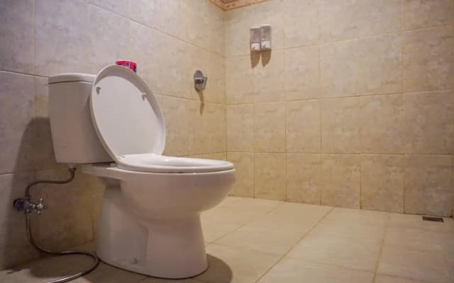 Three Brothers Guest House - photo 5