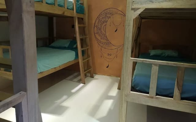 Casa Luna Hostel - photo 4