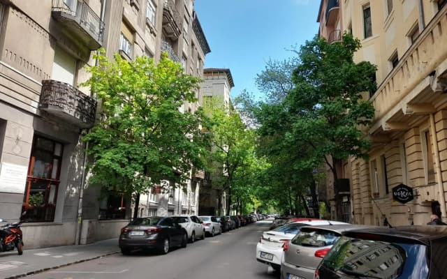 Stylish Homes Downtown Buda - photo 5