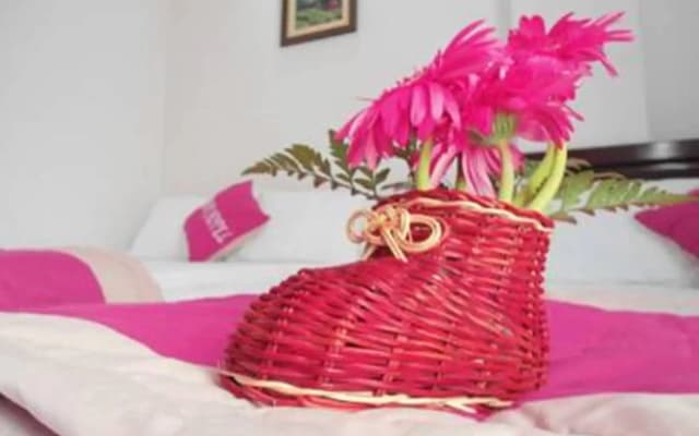 Fulmar Hotel Danang - photo 4