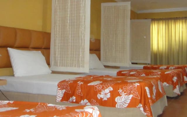 Balira Airport Hotel - photo 5