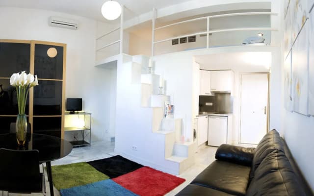 Apartamentos Puerta del Sol-Lofts Calle Ribera de Curtidores - photo 2