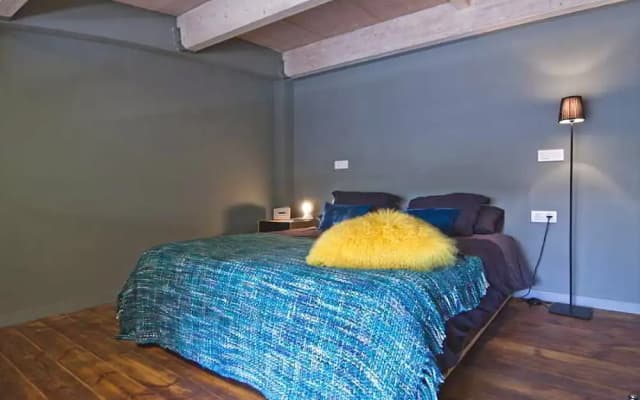 Executive Attic 2 - photo 2
