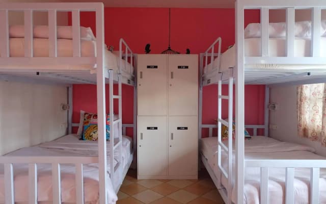 Finlay House - Hostel - photo 2