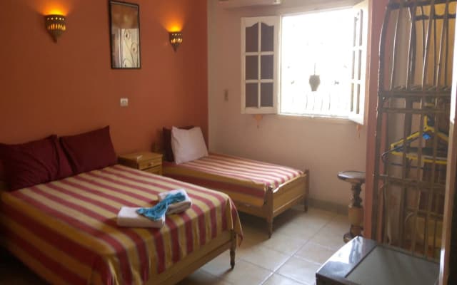 Osiris Hotel - photo 5