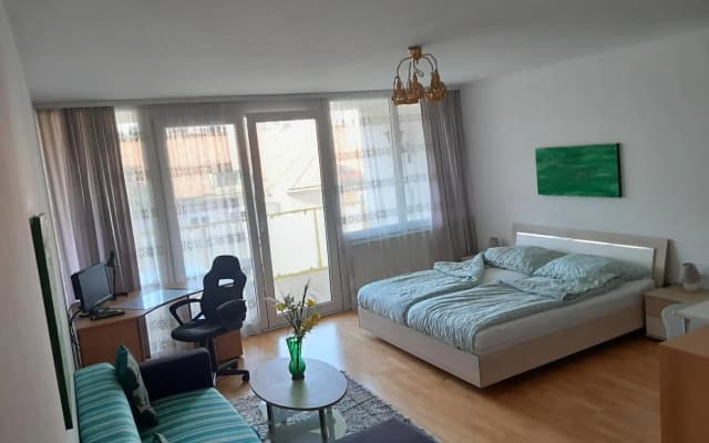 Serviced Apartment with Sunny Balcony - photo 2