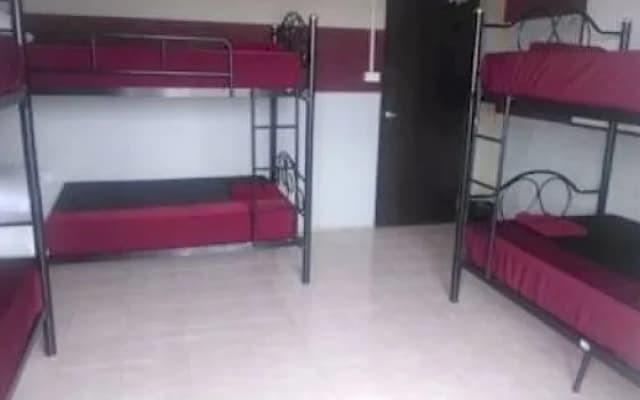 Backpacker Hostel - photo 4