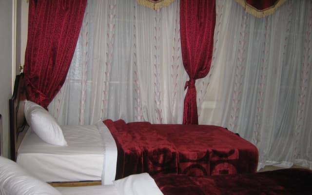 Alexander - photo 2