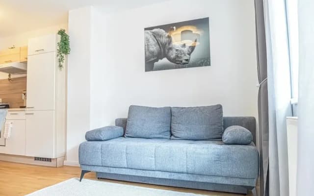 Comfortable 1BR 1LR City Center Apt - photo 5