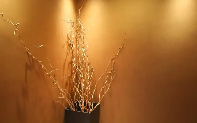 Hotel Latinum - photo 3