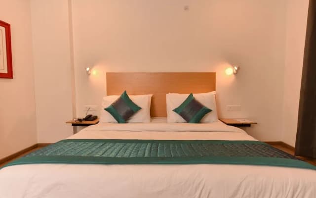 Hotel Blue Saffron - photo 3