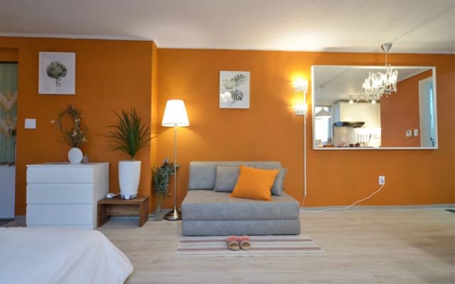 Orange Mango Cherry Party House - photo 4