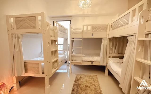 Alphatel Beach Hostel JBR - photo 4