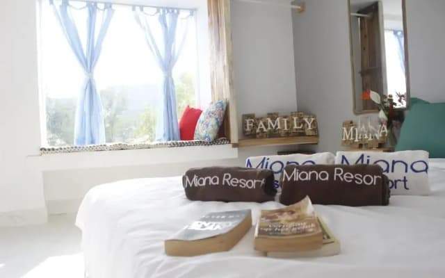 Miana Home - photo 3