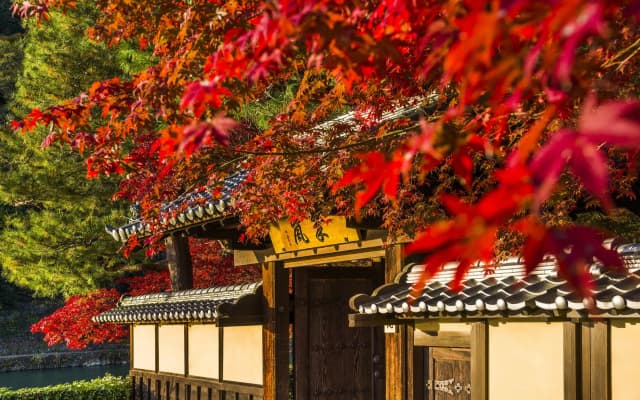 Kyoto