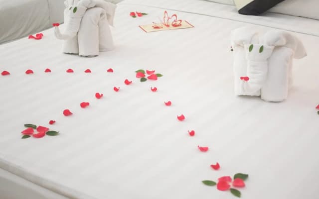 Splendid Star Suite Hotel - photo 4