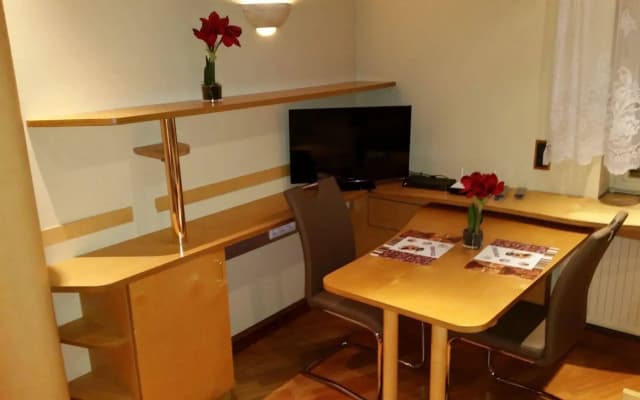 Goldfisch Apartment Vienna Opera House - photo 4