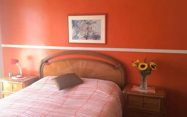 The Colourful House - photo 3