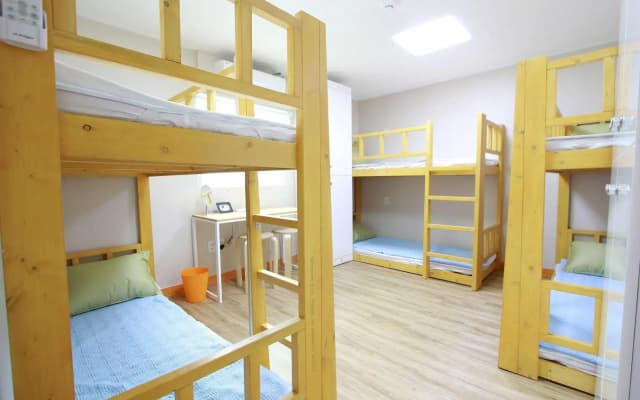 Cocoon stay Hongdae Guesthouse - photo 2