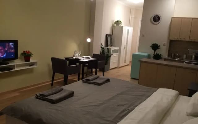 Riverview Apartment Budapest - photo 2