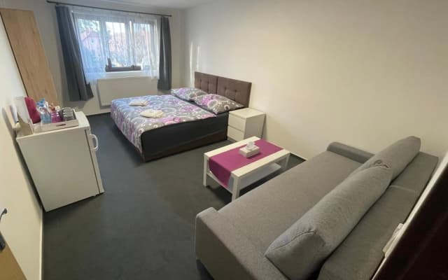 Pension Hajek - photo 2