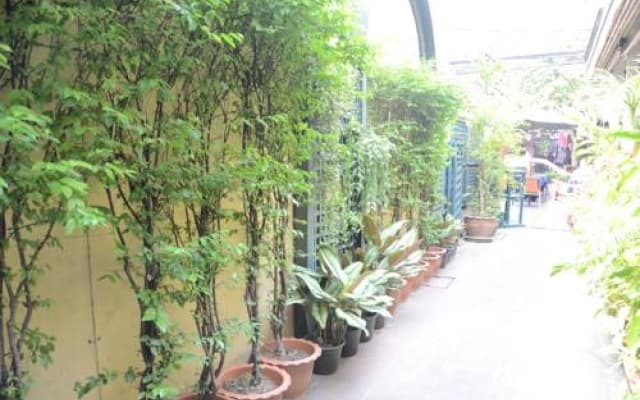Tuptim Bed & Breakfast - photo 4