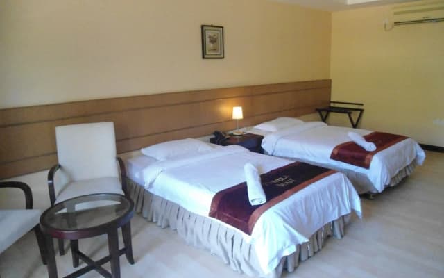Temu Primula - photo 2