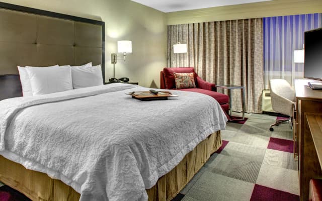 Hampton Inn Miami-Coconut Grove/Coral Gables - photo 5