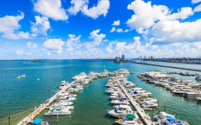 The Grand Wonder Biscayne(No Front Desk Contact The 5 Days In Advance) - photo 4