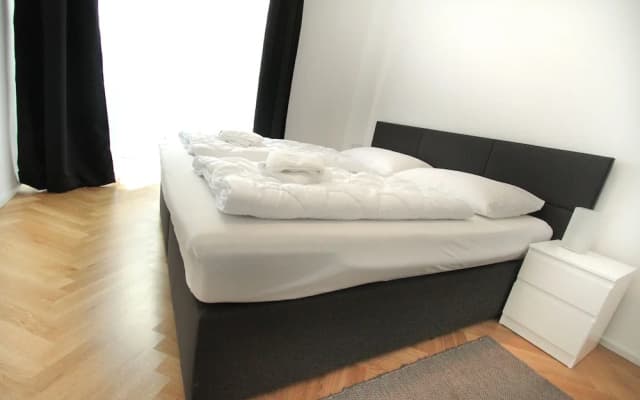 Edelweiss City Apartments State Opera - photo 3