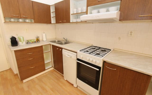 Zizka Home Apartments - photo 5