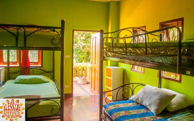 Blessing Backpackers - photo 4