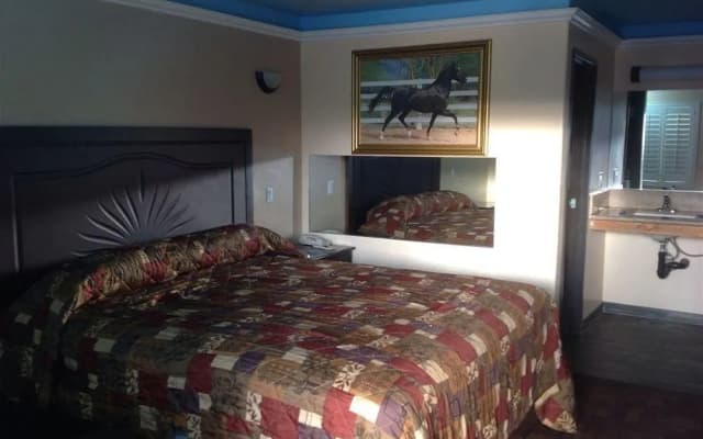Bronco Motel - photo 5