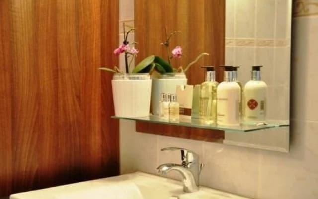 Green Terrace Apartment Budapest - photo 4