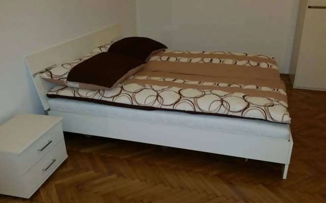 Goldfisch Apartment Central Park - photo 4