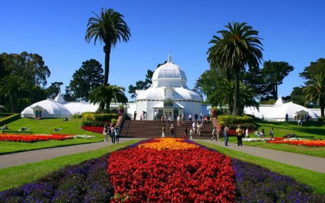 Golden Gate Park Suite - photo 2