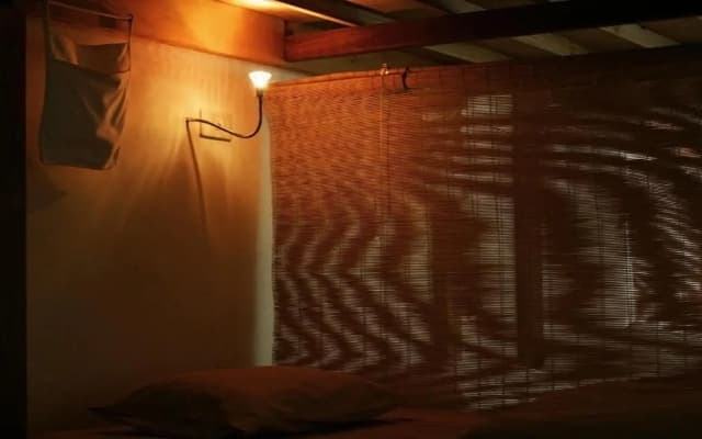 Born Free Hostel - photo 3