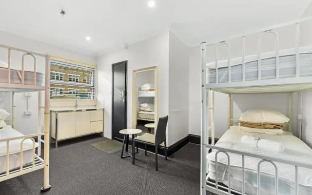 London Plane Backpackers - Hostel - photo 2