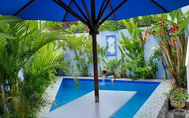 Turtle Island Homestay - photo 4