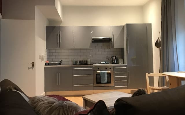 Edinburgh Old Town Apartment - photo 4