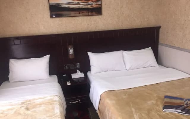 Ana Palace Hotel - photo 5