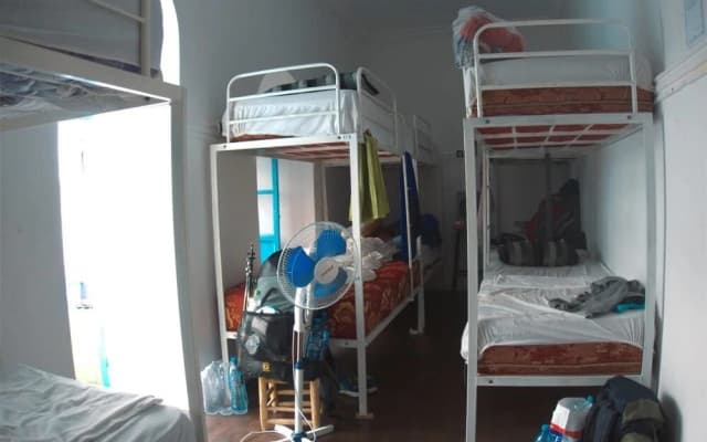 Backpackers Grapevine Hostel - photo 3
