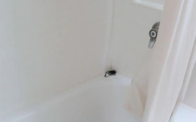 Pinnacle Dream - photo 5