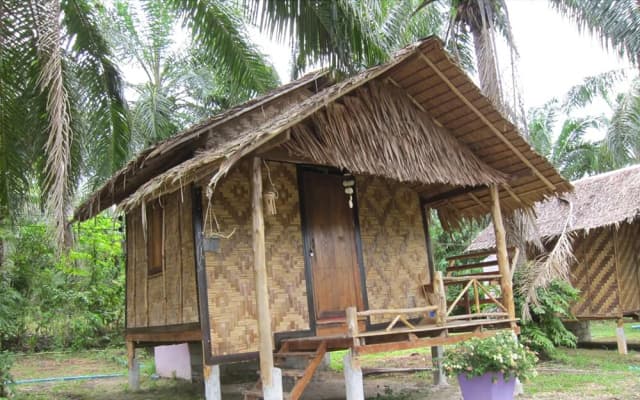 Anavin House - photo 4