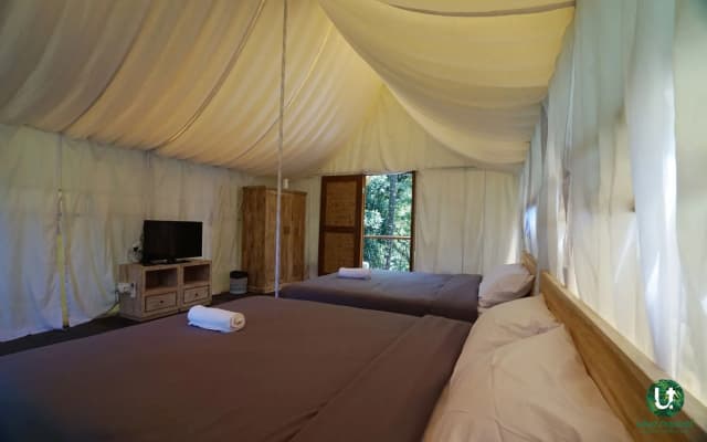 Ubud Tropical - Hostel - photo 4