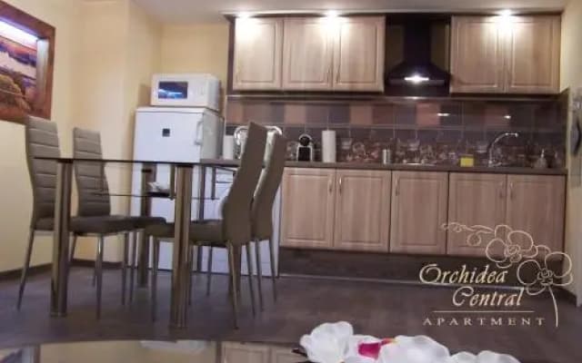 Orchidea Central Apartment - photo 3