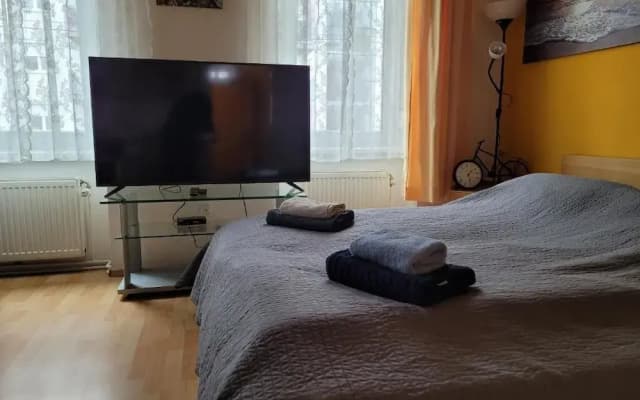 leopoldauer apartment - photo 4