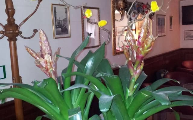 Hotel Regit - photo 2