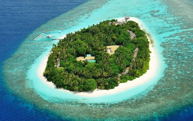 Madoogali Resort & Spa Maldives - photo 5