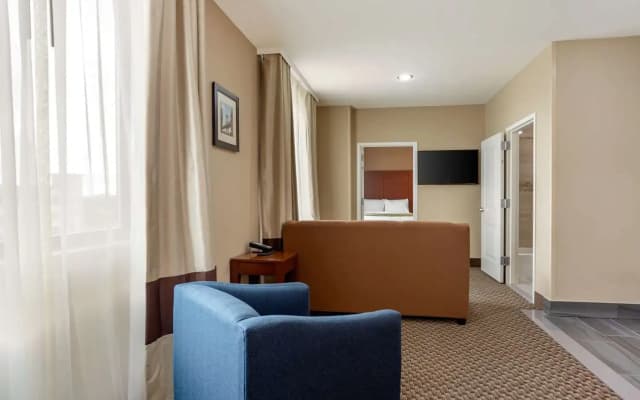 Comfort Inn & Suites near JFK Air Train - photo 4